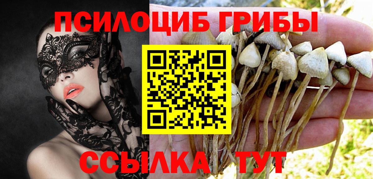 Псилоцибиновые грибы GOLDEN TEACHER Тутаев