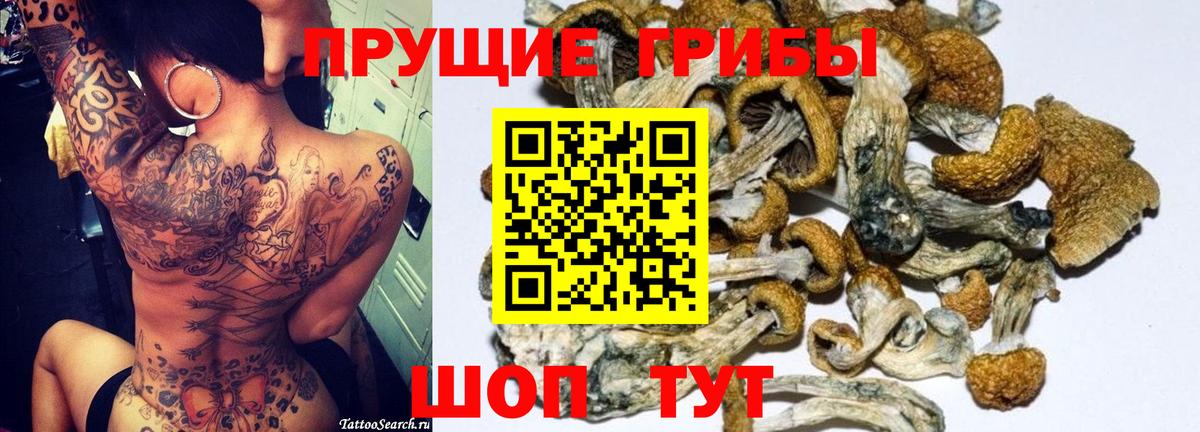 наркота  Галлюциногенные грибы ЛСД  Вход с VPN  Тутаев 